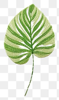 PNG Botanical leave plant leaf pattern drawing.