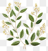 PNG Leaves plant embroidery pattern herbs.