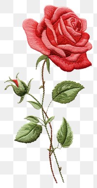 PNG Rose embroidery pattern flower.