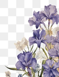 PNG Iris flower ephemera border backgrounds blossom pattern.
