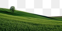 PNG Green field green sky landscape. AI generated Image by rawpixel.