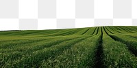 PNG Green field sky outdoors horizon. AI generated Image by rawpixel.
