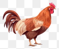 PNG Hen chicken poultry animal. AI generated Image by rawpixel.