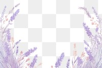 PNG Lavender backgrounds flower purple. 