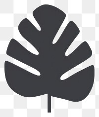 PNG  Leaf icon plant clothing pattern.