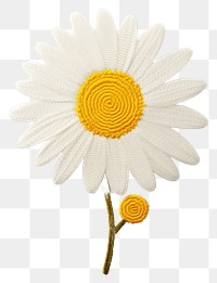 PNG Flower petal daisy plant white inflorescence.