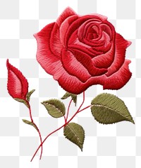 PNG Flower plant rose inflorescence embroidery flower pattern.
