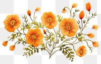 PNG Orange flower bouquet embroidery plant petal.