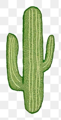 PNG Cactus plant pattern drawing.