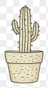 PNG Cactus plant houseplant flowerpot.