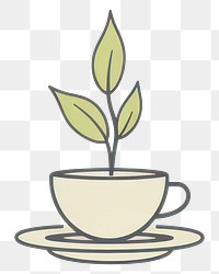 PNG Saucer coffee drink plant.