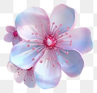PNG Blossom iridescent flower petal plant