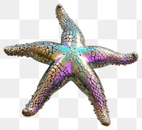 PNG Starfish iridescent animal white background invertebrate.