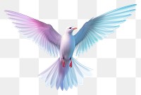 PNG Seagull iridescent animal flying white.