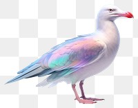 PNG Seagull iridescent animal bird beak.
