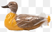 PNG  Plastic wrapping over a duck animal bird poultry.