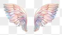 PNG  Angel wings angel art lightweight