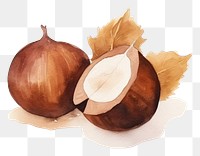 PNG  Chestnut onion plant food. AI generated Image by rawpixel.