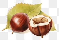 PNG  Chestnut plant food freshness. AI generated Image by rawpixel.
