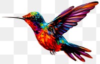 PNG A hummingbird animal black background creativity. 