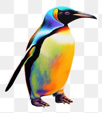 PNG King penguin painting animal bird. 