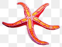 PNG  Starfish octopus marine purple. AI generated Image by rawpixel.