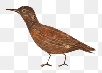 PNG Paleolithic cave art painting style of Bird bird ancient animal.