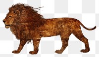 PNG Paleolithic cave art painting style of Lion ancient animal mammal.
