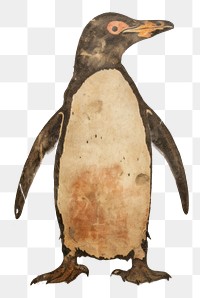 PNG Paleolithic cave art painting style of Penguin penguin animal bird.