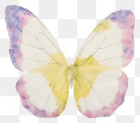 PNG Butterfly marble distort shape animal insect flower.