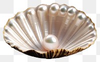 PNG Pearl pearl seashell jewelry.