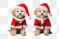 PNG  Santa claus mammal animal puppy. AI generated Image by rawpixel.