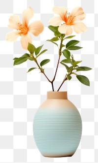 PNG Pottery off-white flower vase pottery blossom ikebana.