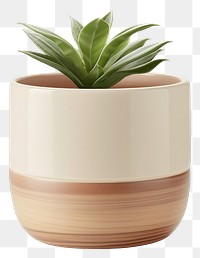 PNG Pottery off-white planter pottery vase leaf.