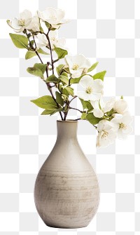 PNG Pottery off-white flower vase pottery blossom plant
