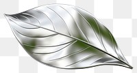 PNG Leaf silver plant shiny.