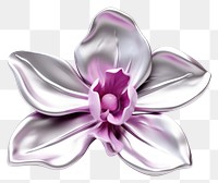 PNG Flower orchid silver petal