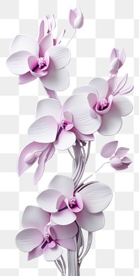 PNG  Orchid bas relief small pattern flower purple plant.