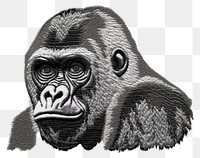 PNG  Gorilla ape wildlife mammal.