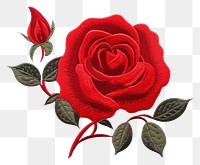 PNG  Rose in embroidery style flower plant inflorescence.