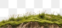 PNG Wild grass hills landscape nature grassland. AI generated Image by rawpixel.