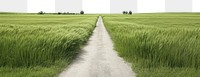 PNG Road through grass field landscape nature outdoors. AI generated Image by rawpixel.