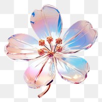 PNG Flower blossom jewelry petal.