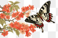 PNG Butterfly flower animal insect.