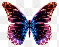 PNG Butterfly pattern animal insect.