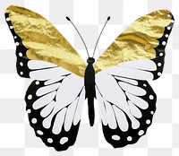 PNG Butterfly ripped paper insect animal white background.