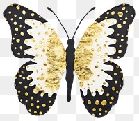 PNG Butterfly ripped paper animal insect moth.