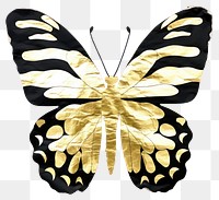 PNG Butterfly ripped paper animal insect white background.