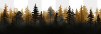 PNG Forest landscape backgrounds outdoors. AI generated Image by rawpixel.