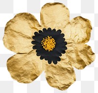 PNG Flower black ripped paper petal plant white background.